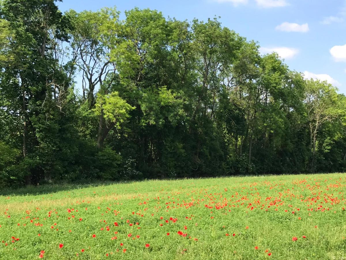 Chambre D'Hotes "Coquelicot" Nurlu Bagian luar foto
